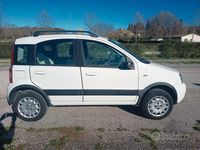Usata Fiat Panda 4x4 2009 Bianco Utilitaria