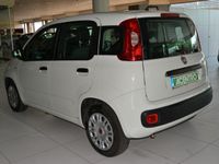 usata Fiat Panda 1.0 - 1.0 70cv hybrid