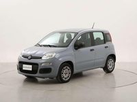 Usata Fiat Panda Easy 69 CV (50 kW) 2020 Grigio Utilitaria