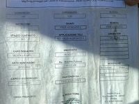 Usata Nissan Qashqai 150 CV (110 kW) 2012 Bianco SUV