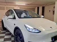 usata Tesla Model Y Model Y Performance AWD