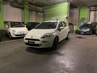 usata Fiat Punto 1.2 8V 5 porte Neopatentati