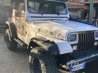 Occasion Jeep Wrangler 110 ch (80 kW) 1992 Blanc SUV