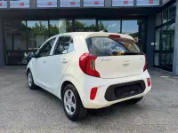 Usata Kia Picanto Urban 67 CV (49 kW) 2022 Bianco Utilitaria