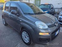 Usata Fiat Panda Easy 69 CV (50 kW) 2020 Grigio Utilitaria