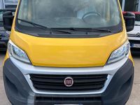 Usata Fiat Ducato 130 CV (95 kW) 2019 Giallo Furgone