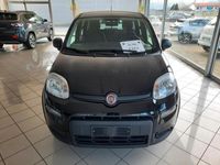 usata Fiat Panda 1.0 FireFly S&S Hybrid 70cv