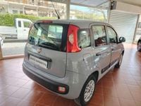Usata Fiat Panda Easy 69 CV (50 kW) 2019 Grigio Utilitaria