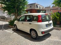 usata Fiat Panda Panda 1.2 EasyPower Easy