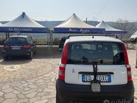 Usata Fiat Panda 4x4 2010 Bianco Utilitaria