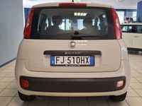 Usata Fiat Panda Lounge 69 CV (50 kW) 2017 Beige Utilitaria