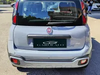 Usata Fiat Panda Launch Edition 69 CV (50 kW) 2020 Grigio Utilitaria