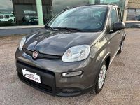 Usata Fiat Panda S 69 CV (50 kW) 2023 Grigio Utilitaria