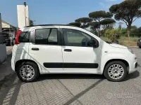 Usata Fiat Panda Easy 69 CV (50 kW) 2018 Bianco Utilitaria