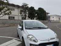 Usata Fiat Punto Evo 69 CV (50 kW) 2011 Utilitaria