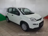 Usata Fiat Panda S 70 CV (51 kW) 2024 Bianco Utilitaria
