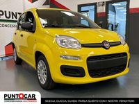 Nuova Fiat Panda S 69 CV (50 kW) 2025 Giallo Utilitaria