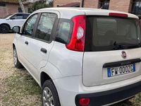 Usata Fiat Panda Easy 71 CV (52 kW) 2019 Bianco Utilitaria