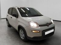 Usata Fiat Panda S 70 CV (51 kW) 2024 Bianco Utilitaria