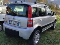 Usata Fiat Panda 4x4 Climbing 75 CV (55 kW) 2011 Argento Utilitaria
