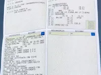 Usata Lancia Ypsilon 60 CV (44 kW) 2001 Utilitaria