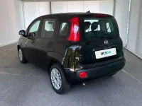 Usata Fiat Panda Easy 69 CV (50 kW) 2021 Nero Utilitaria