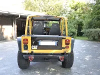 Usata Jeep Wrangler Limited 184 CV (135 kW) 1994 Giallo SUV