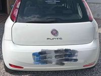 Usata Fiat Punto Lounge 69 CV (50 kW) 2013 Bianco Berlina