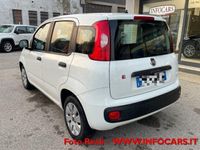 usata Fiat Panda 1.2 Pop NEOPATENTATI