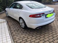 Usata Jaguar XF 2010 Bianco Berlina