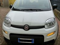 Usata Fiat Panda S 70 CV (51 kW) 2024 Utilitaria