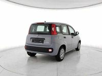 usata Fiat Panda 1.0 firefly hybrid (Red) s&s 70cv