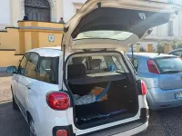 Usata Fiat 500L Living 85 CV (62 kW) 2015 Bianco Monovolume