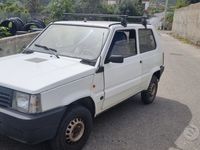 usata Fiat Panda 1100 i.e. cat Young