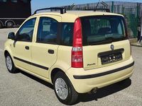 Usata Fiat Panda Dynamic 60 CV (44 kW) 2009 Giallo Utilitaria