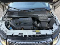 Usata Land Rover Range Rover evoque 150 CV (110 kW) 2016 Bianco SUV