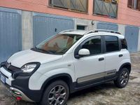Usata Fiat Panda Cross Cross 95 CV (69 kW) 2017 Utilitaria