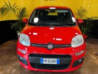 Usata Fiat Panda Easy 80 CV (58 kW) 2017 Rosso Utilitaria