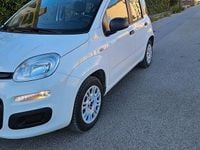 Usata Fiat Panda 69 CV (50 kW) 2018 Bianco Utilitaria