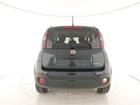 Usata Fiat Panda Cross Cross 69 CV (50 kW) 2023 Gray Utilitaria