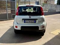 Usata Fiat Panda S 70 CV (51 kW) 2024 Bianco Utilitaria