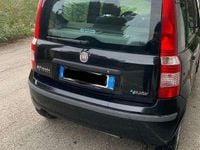 Usata Fiat Panda Dynamic 60 CV (44 kW) 2009 Nero Utilitaria