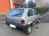 Usata Fiat Panda 4x4 Trekking 54 CV (39 kW) 1999 Argento Utilitaria