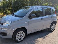 Usata Fiat Panda Easy 85 CV (62 kW) 2018 Grigio Utilitaria