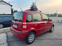 usata Fiat Panda 1.1 BENZINA - NEOPATENTATI