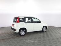 Nuova Fiat Panda Icon 65 CV (47 kW) 2025 Bianco Utilitaria