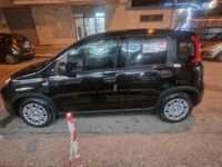 Usata Fiat Panda S 69 CV (50 kW) 2024 Nero Utilitaria