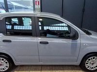 Usata Fiat Panda S 69 CV (50 kW) 2021 Grigio Berlina