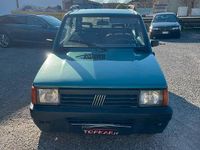 Usata Fiat Panda 4x4 Trekking 54 CV (39 kW) 2001 Verde Utilitaria