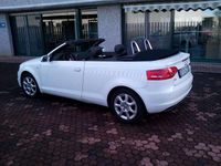 Usata Audi A3 Cabriolet Attraction 105 CV (77 kW) 2012 Bianco Cabrio